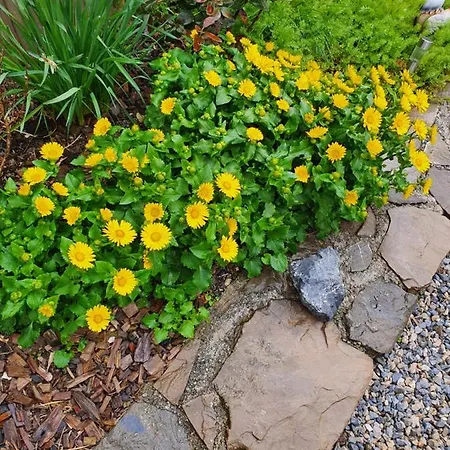 D'hotes La Dorgisane 住宿加早餐酒店 Venterol (Alpes-de-Haute-Provence)